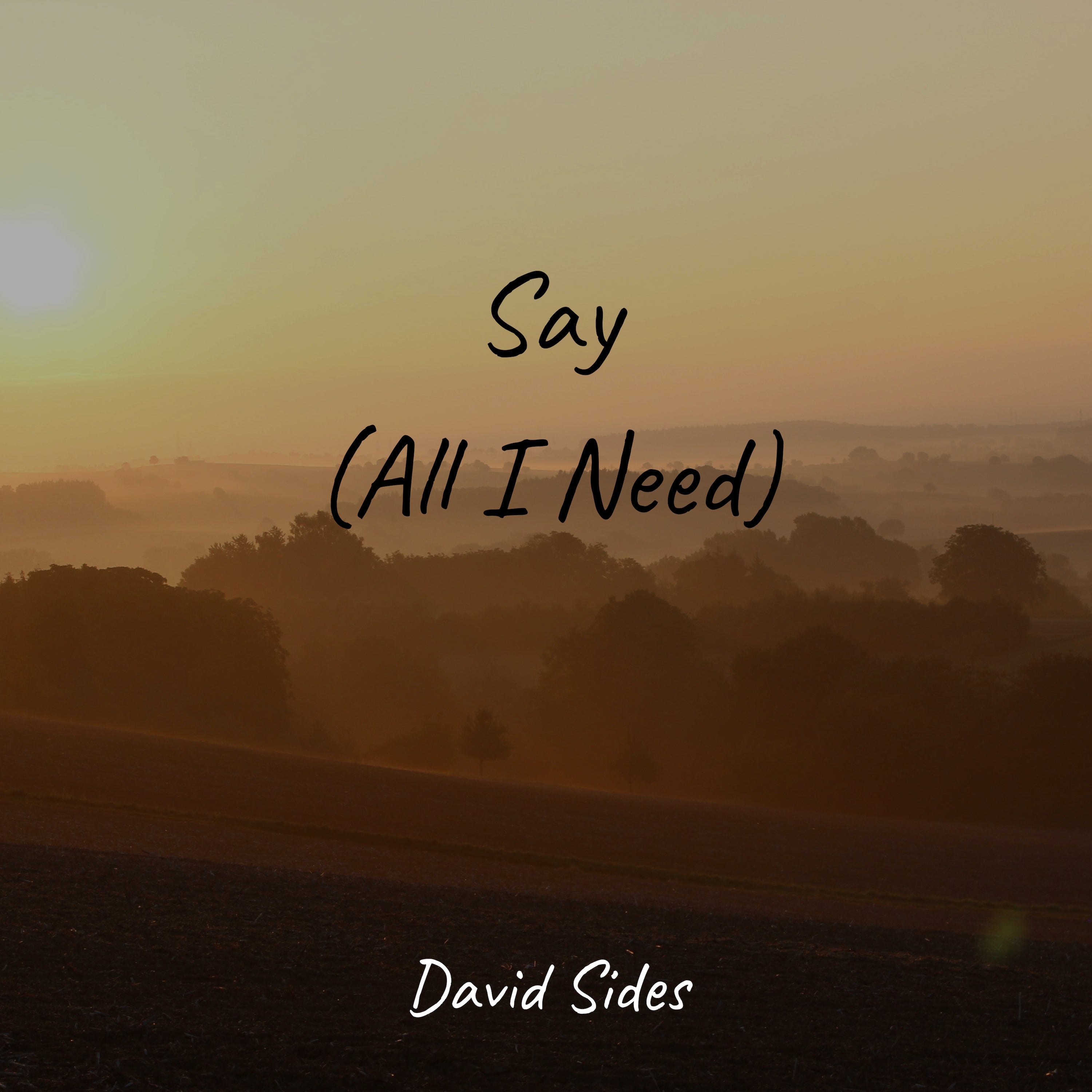 Say (All I Need) (OneRepublic)